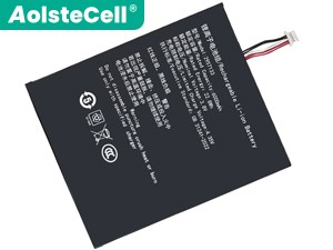 סוללה Teclast TA10 